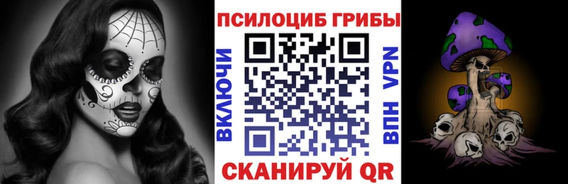 Купить  Тулун  Галлюциногенные грибы GOLDEN TEACHER 