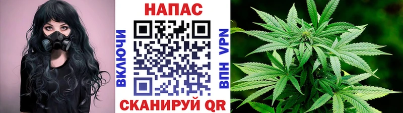 Шишки марихуана Amnesia  Купить закладки  Тулун 